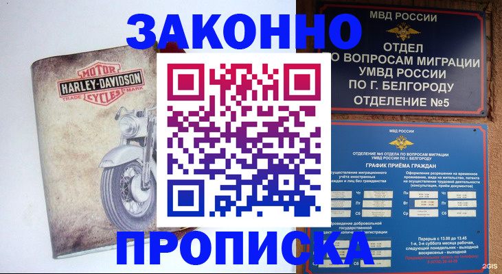 прописка для школы в Ярославской области